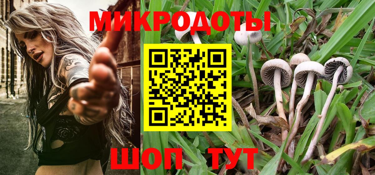 Псилоцибиновые грибы Cubensis Феодосия